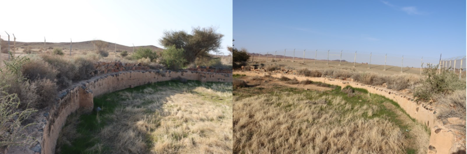 التكوين الهندسي للموقع