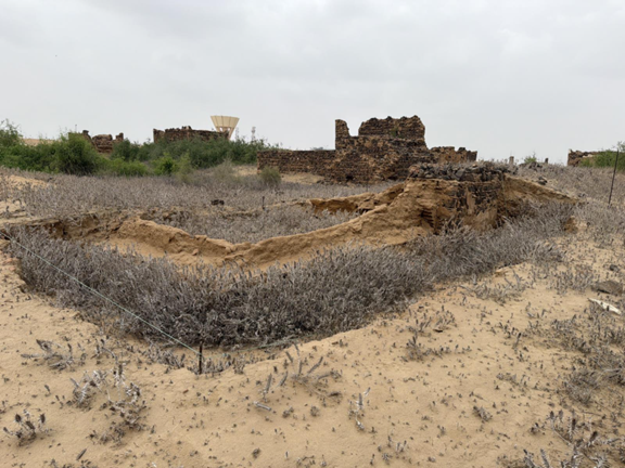 تهدم أحد عناصر الموقع 