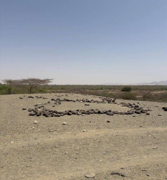 المشهد العام للموقع.