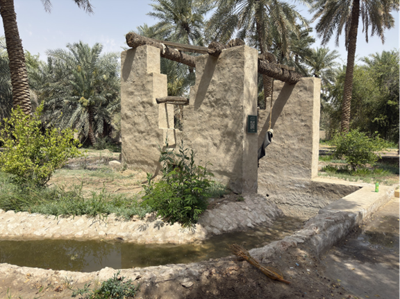 المظهر العام للموقع
