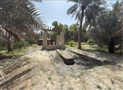 المسار المنحدر الذي كانت تسلكه الحيوانات