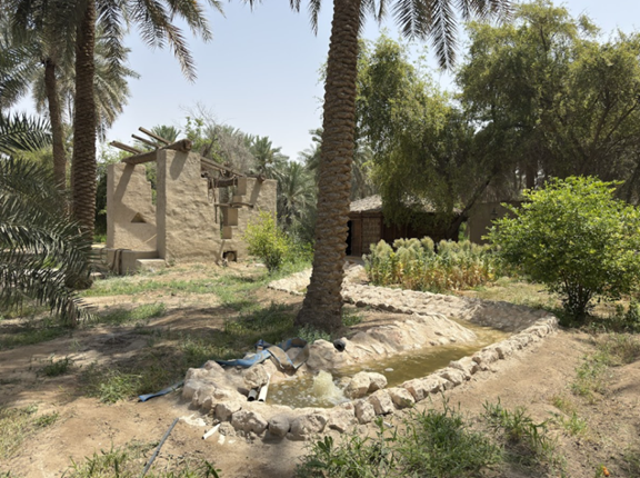 الحالة العامة لبئر القصيبي