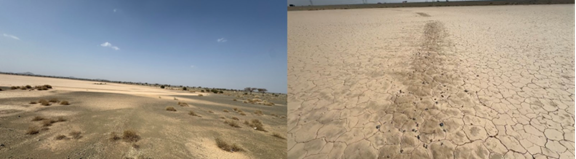 تلف الأرضيات