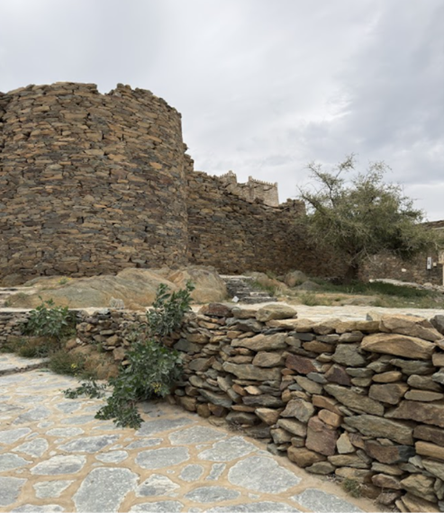 مبانٍ معدة للتحصينات