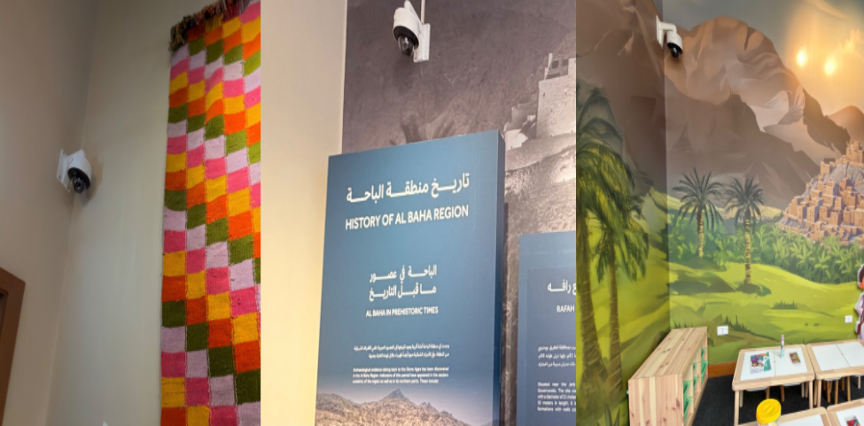 كاميرات المراقبة في الموقع