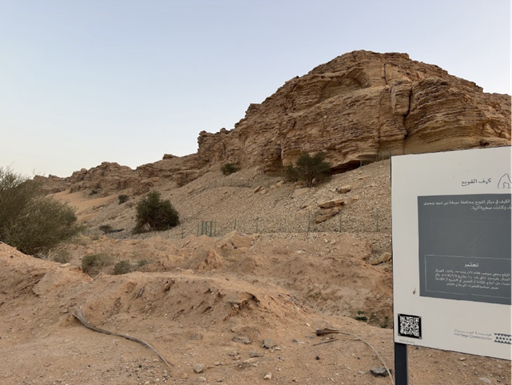 مشهد عام للموقع.