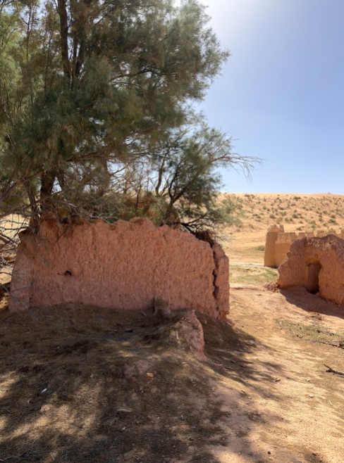 نمو النباتات داخل مباني القرية