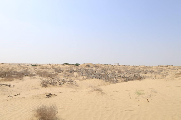 مقبرة عروان
