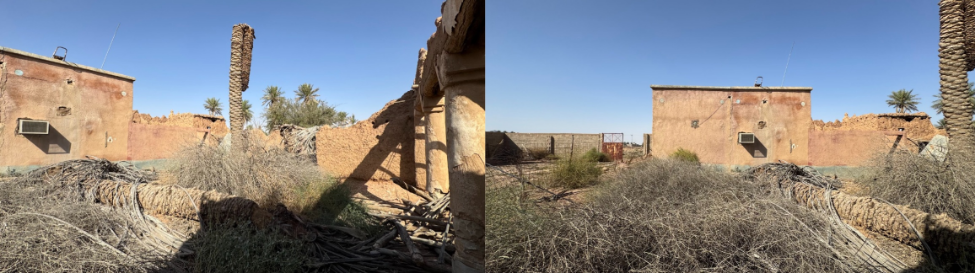 سقوط أشجار النخيل داخل الموقع