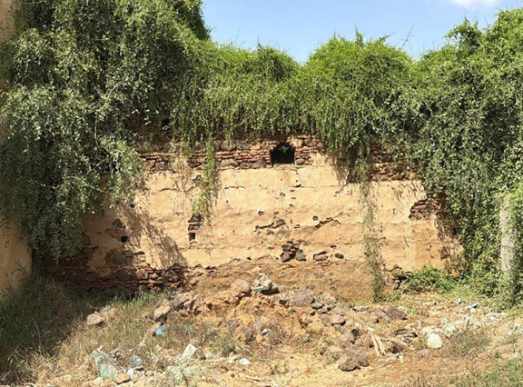 نمو أشجار ونباتات على بعض جدران القلعة.