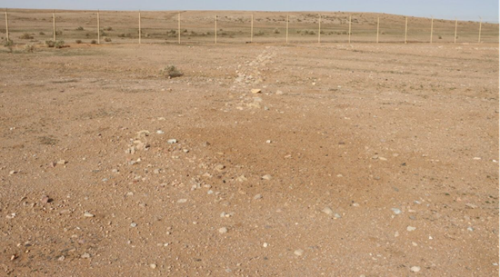 المظهر العام لموقع البدع 2