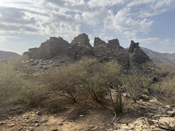 محموعة من العناصر المعمارية لقرية الخلف
