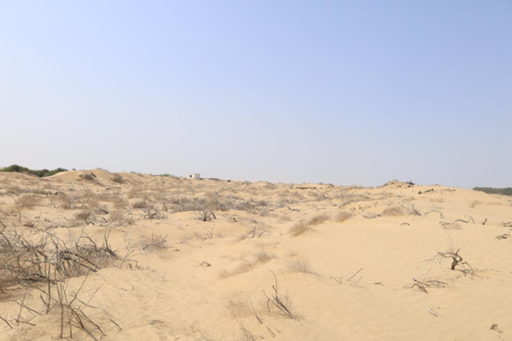 صورة للحالة الفيزيائية السيئة لمقبرة عروان
