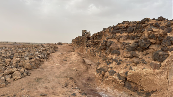 أحجار بركانية ومادة الجص.
