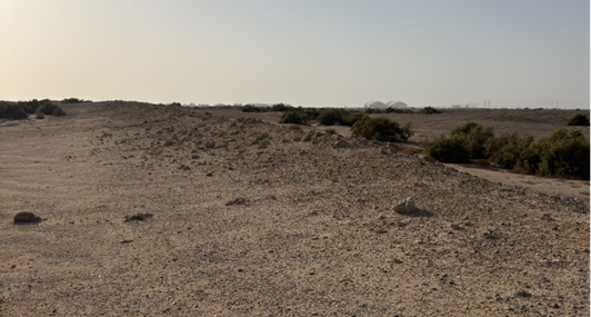 بقايا معمارية