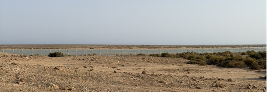 السياج الشبكي
