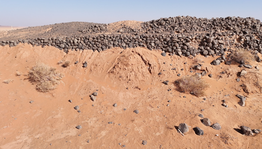 طبيعة بناء الموقع