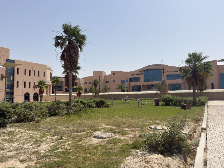 الساحة الرئيسية