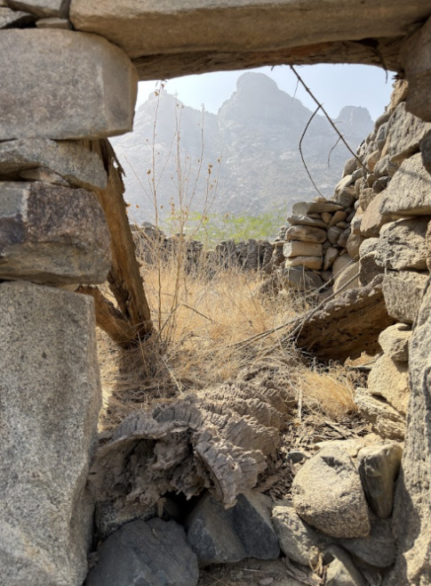 مظاهر الإهمال في الموقع