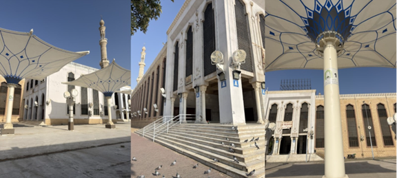 المرواح والمظليات في الموقع