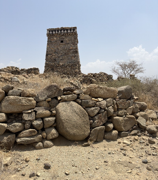المظهر العام لحصن القماصية