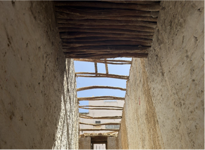 فقدان أجزاء من السقف