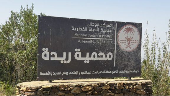 اللافتة الوحيدة في الموقع