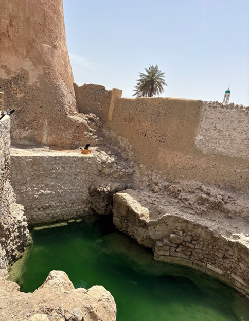 بركة القلعة
