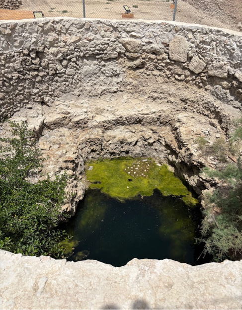 نمو الفطريات في البئر