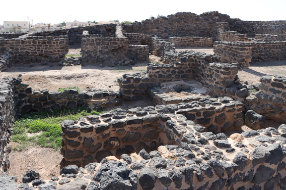 الحالة الفيزيائية لحصن فيد الأثري 