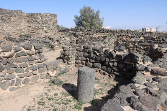  مرابط للخيول بمحيط حصن فيد الأثري