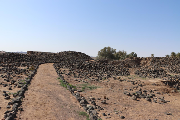  أحد المسارات بحصن فيد الأثري 