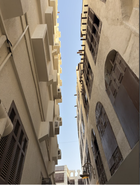 تنظيم الطوابق والخصوصية الاجتماعية في عمارة البلد التاريخية