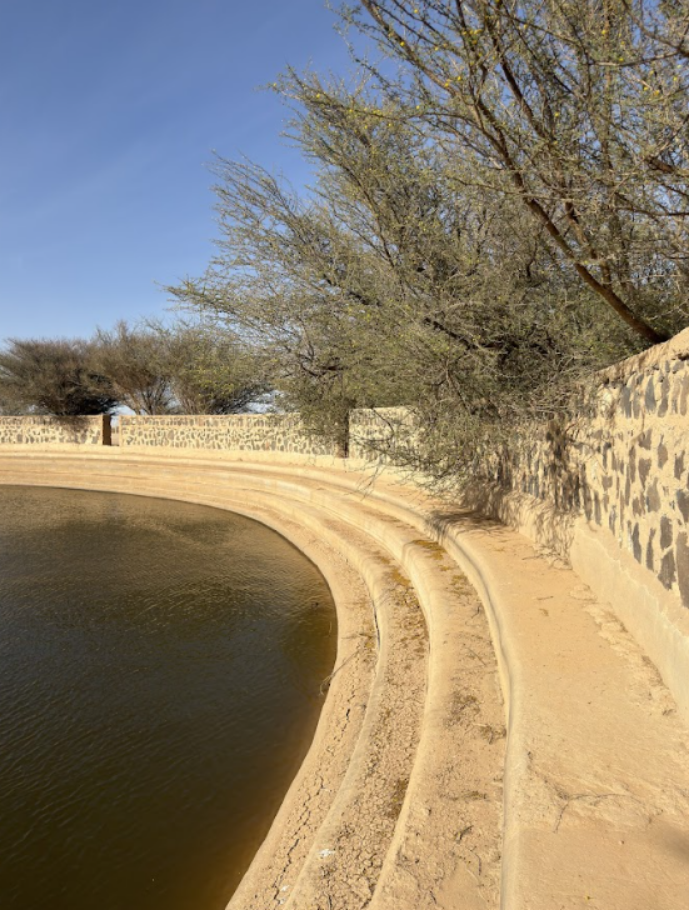 عتبات مدرجة بمحيط وجرة (بركة الخرابة)