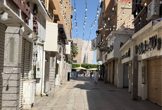 حالة الحفاظ العامة للموقع .