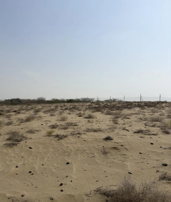 السياج الحديدي المحيط بالموقع