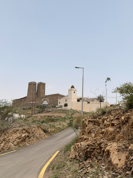 المظهر العام للموقع