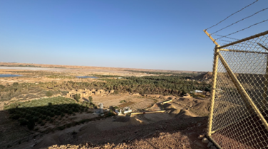 حقول النخيل المحيطة بالموقع