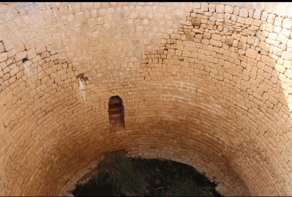 نمو الحشائش حول جدران البئر