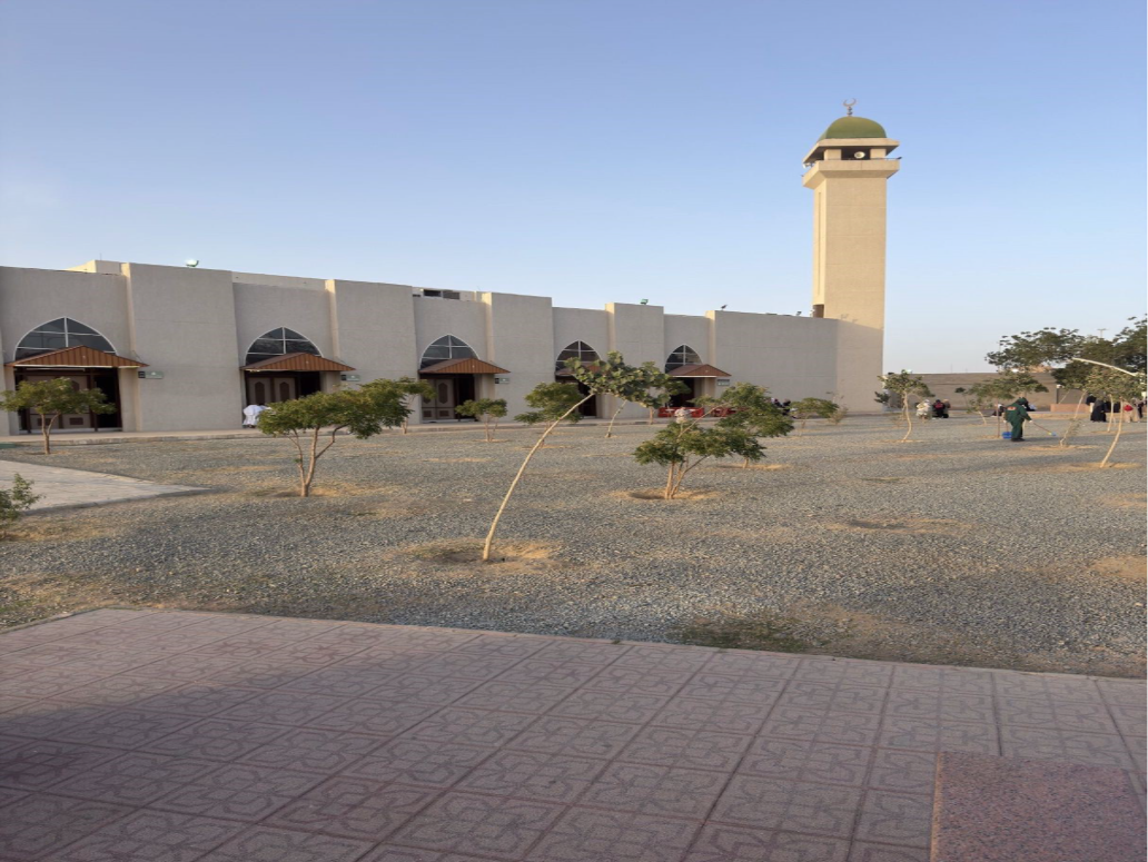 المظهر العام لمسجد السيل الكبير