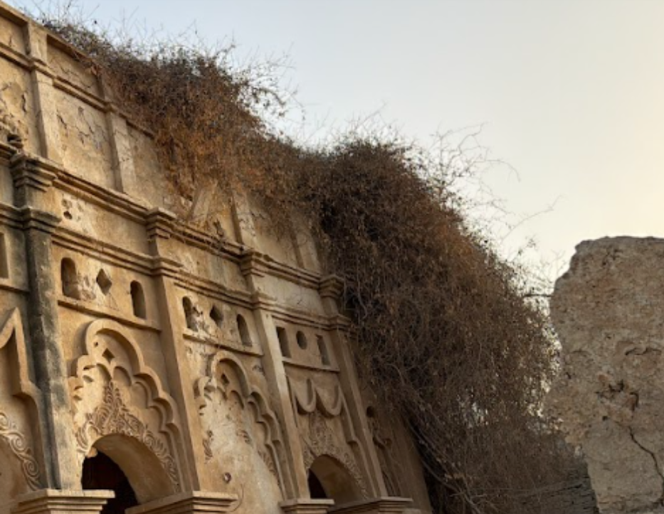 الغطاء النباتي العشوائي الذي يغطي بيت النجدي