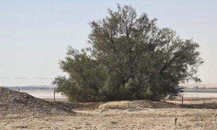 إحدى الآبار في الموقع