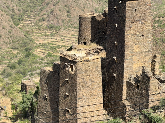 التكوين المعماري للموقع