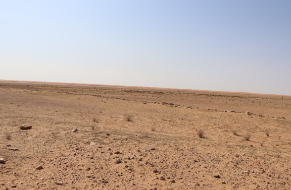 الطابع المفتوح لتنظيم الموقع في موقع القُنَعَة (قُنَعَة خفّاف)