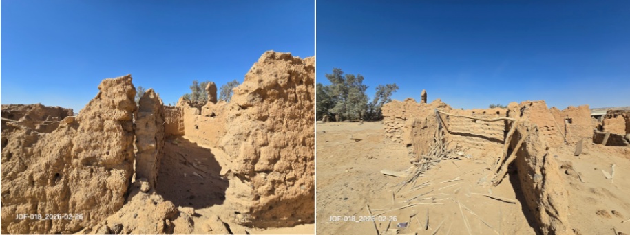 التأثيرات الطبيعية