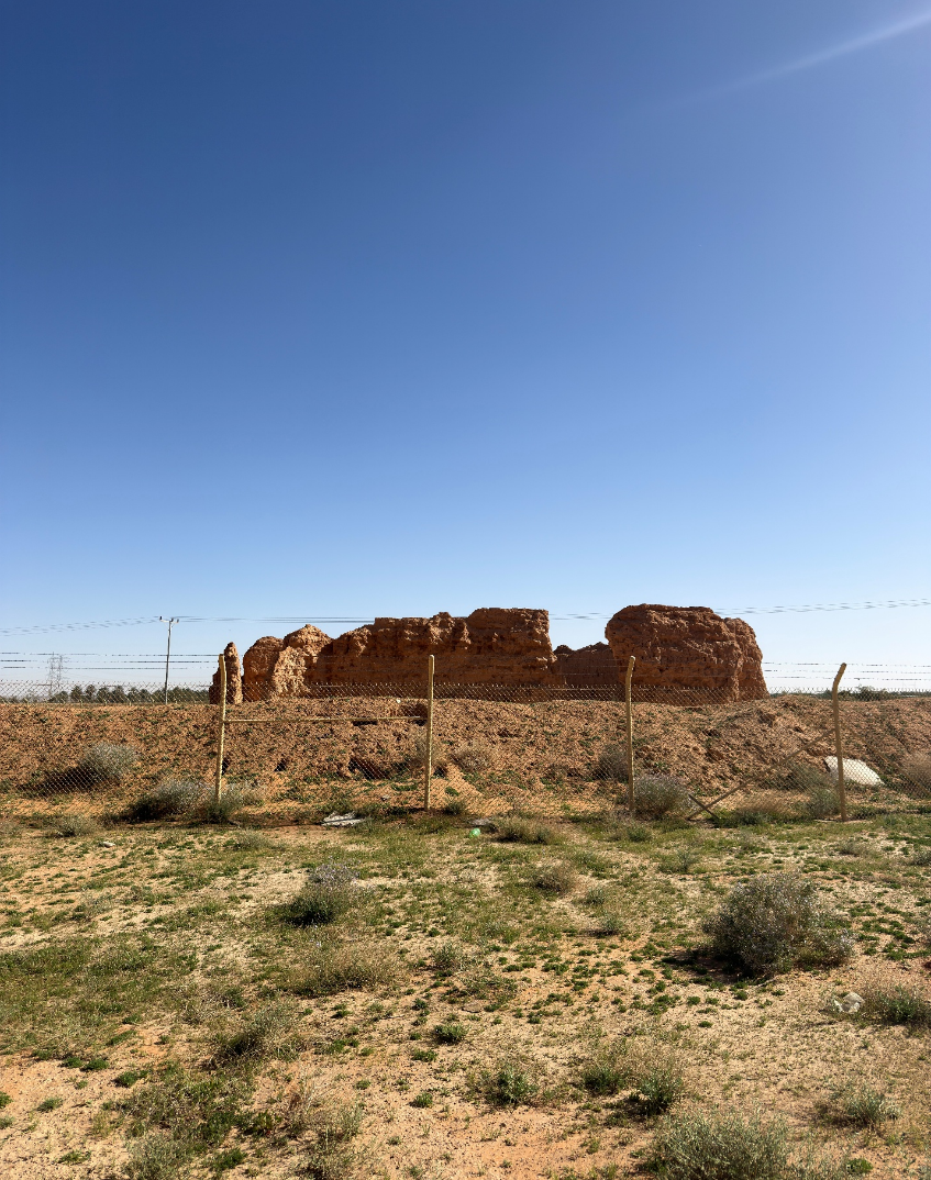 السياج الحديدي المحيط بالقصر