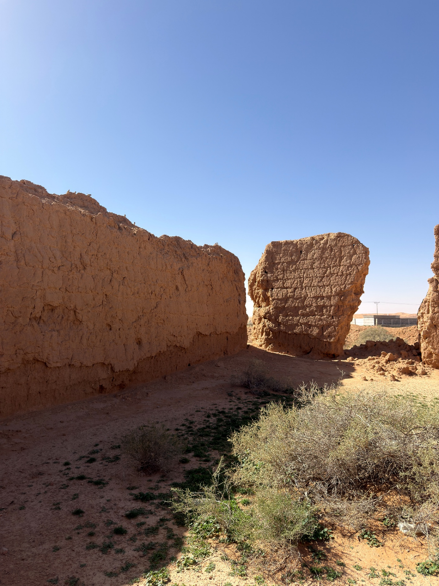 تعاني بعض جدران القصر من فقدان الاستواء