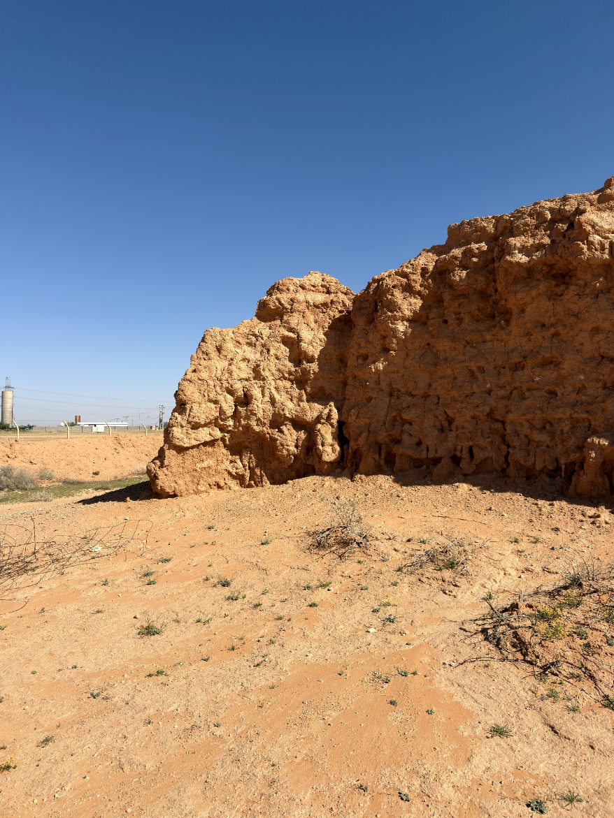تدهور الأسطح الخارجية للجدران