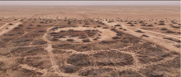 آثار إطارات السيارات في بركة أم العصافير