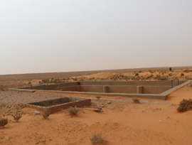 البركة المائية المستطيلة